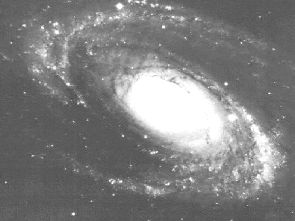 missing children alert - 10,000,000 children of light